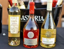 Compania de Vinos Montenegro – Wine night 9