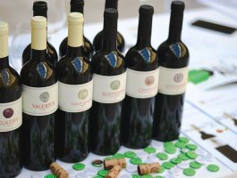 Salon vina - Compania de Vinos Montenegro 12