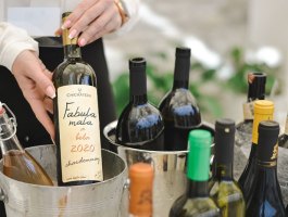 Salon vina - Compania de Vinos Montenegro 14