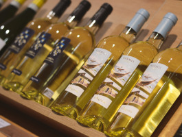 Compania de Vinos Montenegro - Wine House - 9